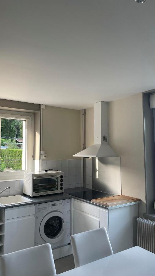 Appartement La Fourmi Verte Bruyeres Zewnętrze zdjęcie